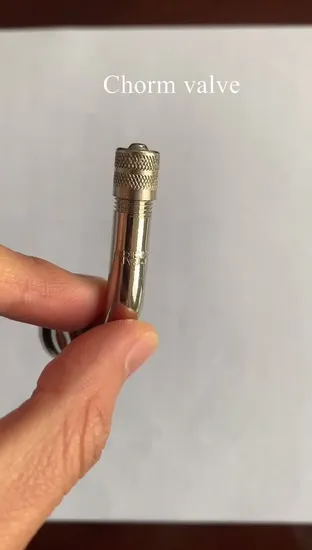 Himile Car Tire Valve Tr544 Tubeless Metal Clamp-in Valves for Truck and Bus Car Tyre Valve