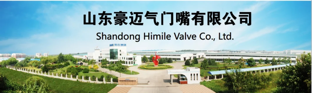 Himile Car Tire Valve V3-20-6 Truck & Bus Tyre Valves Steel Wheel Metric Rim Hole Valves-Clamp-in Type